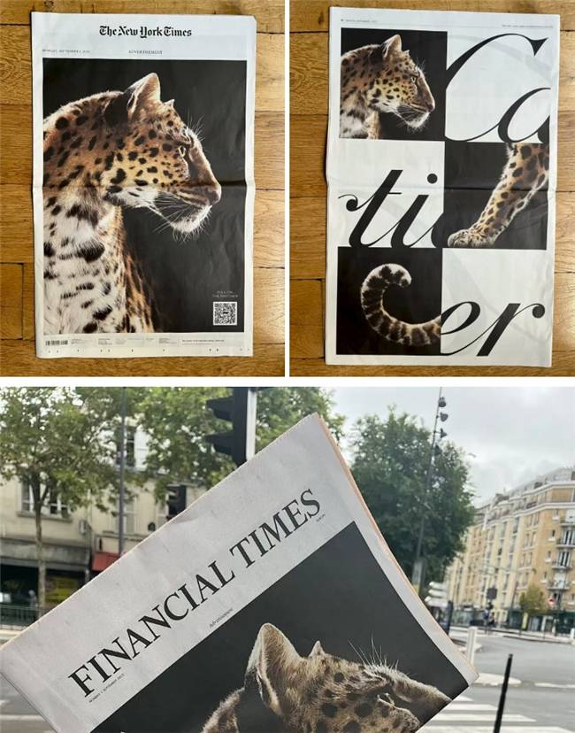 獵豹出沒 WPP Media(群邑)助力卡地亞品牌驚艷亮相