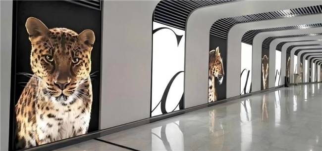 獵豹出沒 WPP Media(群邑)助力卡地亞品牌驚艷亮相