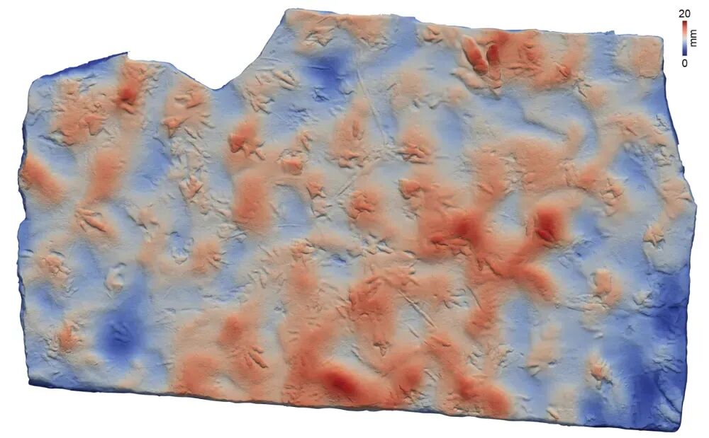 村民用了多年的墊腳石,竟是重要的恐龍化石?