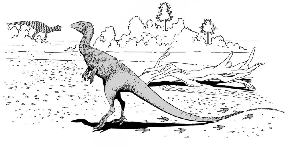 村民用了多年的墊腳石,竟是重要的恐龍化石?