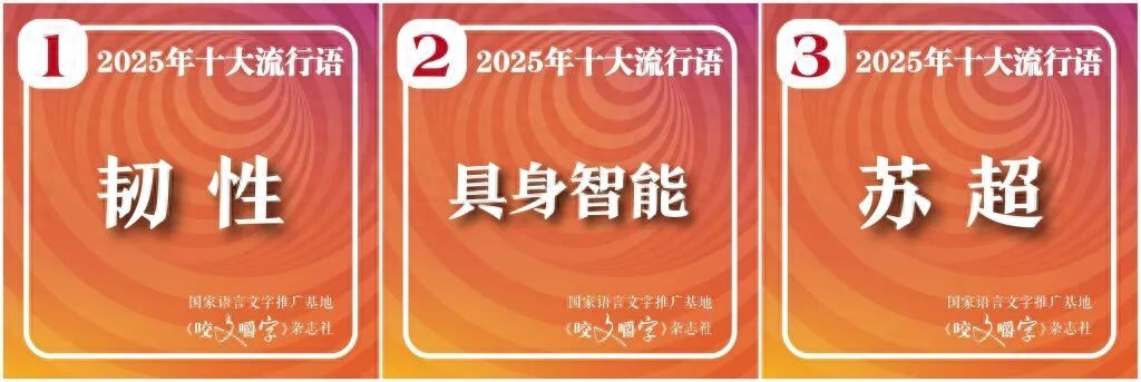 2025年十大流行語發(fā)布,“蘇超”高票入選!